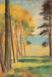 Lago di Havel con pini da Lesser Ury